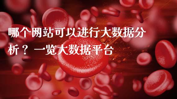 哪个网站可以进行大数据分析？ 一览大数据平台_https://www.ltsssb.com_股票理论_第1张