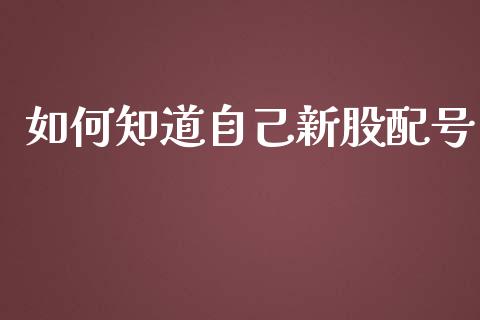 如何知道自己新股配号_https://www.ltsssb.com_新股数据_第1张