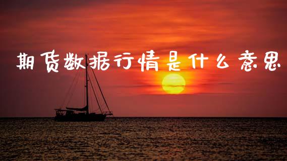 期货数据行情是什么意思_https://www.ltsssb.com_期货在线_第1张