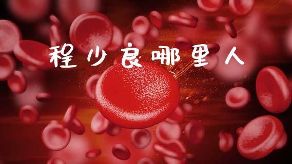 程少良哪里人_https://www.ltsssb.com_期货在线_第1张