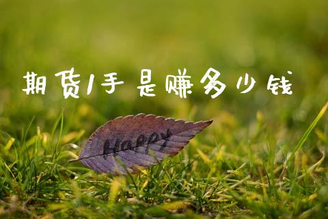 期货1手是赚多少钱_https://www.ltsssb.com_国际财经_第1张