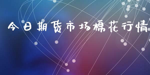 今日期货市场棉花行情_https://www.ltsssb.com_期货在线_第1张