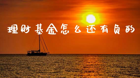 理财基金怎么还有负的_https://www.ltsssb.com_基金频道_第1张
