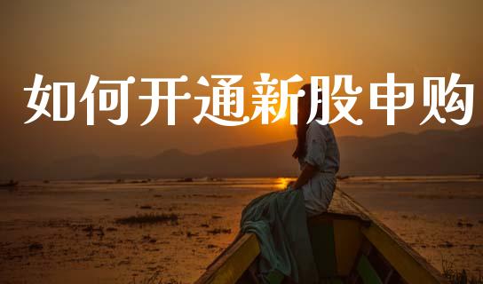 如何开通新股申购_https://www.ltsssb.com_期货在线_第1张