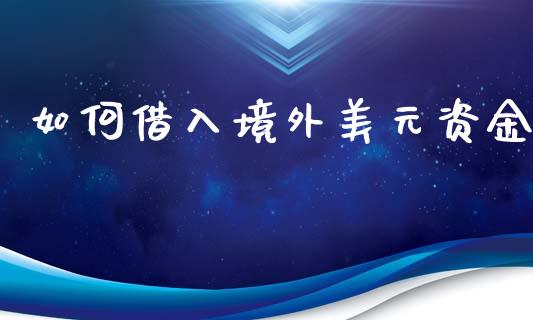 如何借入境外美元资金_https://www.ltsssb.com_基金频道_第1张