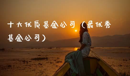 十大优质基金公司（最优秀基金公司）_https://www.ltsssb.com_基金频道_第1张