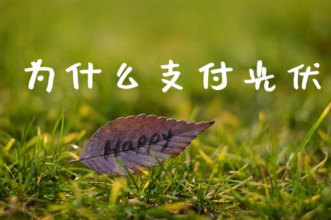 为什么支付光伏_https://www.ltsssb.com_期货在线_第1张