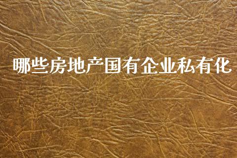 哪些房地产国有企业私有化_https://www.ltsssb.com_期货密码_第1张