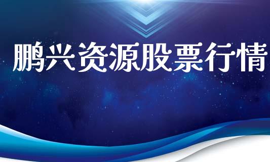 鹏兴资源股票行情_https://www.ltsssb.com_股市分析_第1张