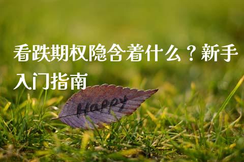看跌期权隐含着什么？新手入门指南_https://www.ltsssb.com_国际财经_第1张