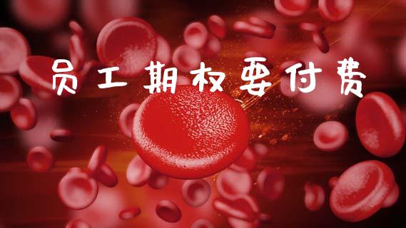 员工期权要付费_https://www.ltsssb.com_股市分析_第1张