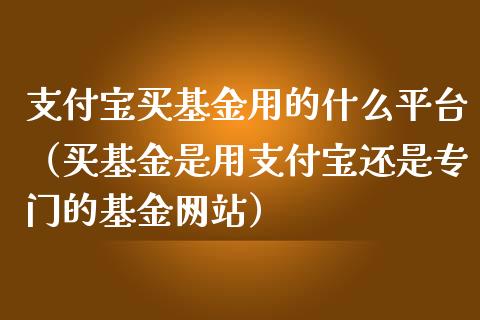 支付宝买基金用的什么平台（买基金是用支付宝还是专门的基金网站）_https://www.ltsssb.com_基金频道_第1张