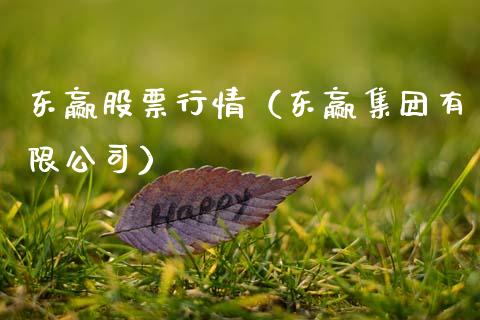 东赢股票行情（东赢集团有限公司）_https://www.ltsssb.com_新股数据_第1张