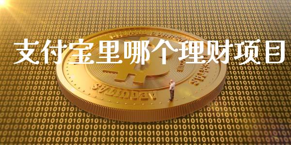 支付宝里哪个理财项目_https://www.ltsssb.com_期货行情_第1张