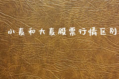 小麦和大麦股票行情区别_https://www.ltsssb.com_新股数据_第1张