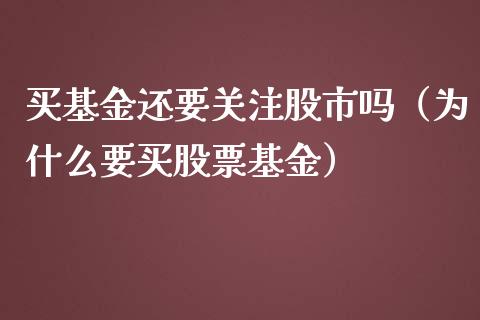 买基金还要关注股市吗（为什么要买股票基金）_https://www.ltsssb.com_基金频道_第1张