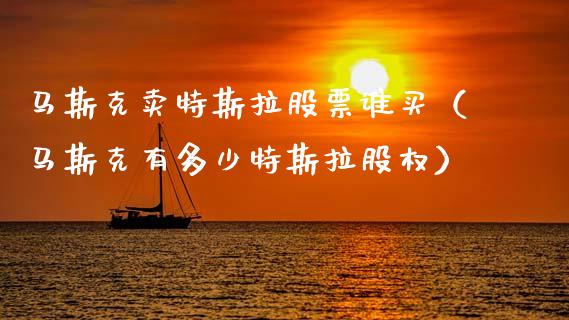 马斯克卖特斯拉股票谁买（马斯克有多少特斯拉股权）_https://www.ltsssb.com_股票理论_第1张