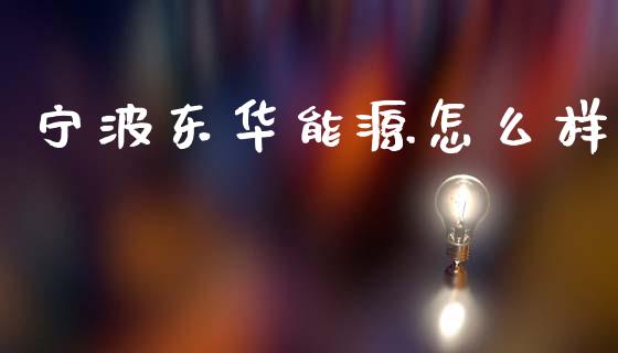 宁波东华能源怎么样_https://www.ltsssb.com_股市分析_第1张