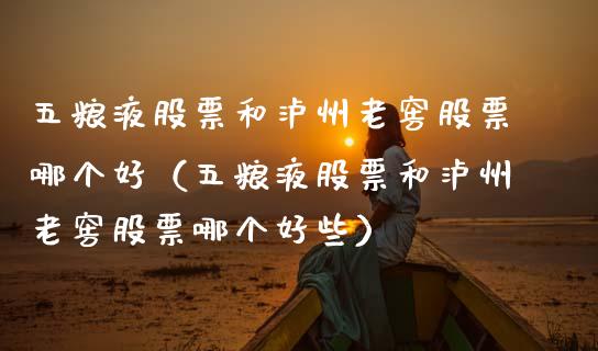 五粮液股票和泸州老窖股票哪个好（五粮液股票和泸州老窖股票哪个好些）_https://www.ltsssb.com_新股数据_第1张