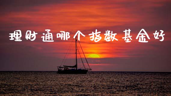理财通哪个指数基金好_https://www.ltsssb.com_基金频道_第1张