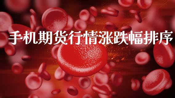 手机期货行情涨跌幅排序_https://www.ltsssb.com_期货密码_第1张