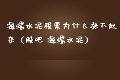 海螺水泥股票为什么涨不起来（股吧 海螺水泥）_https://www.ltsssb.com_股票理论_第1张
