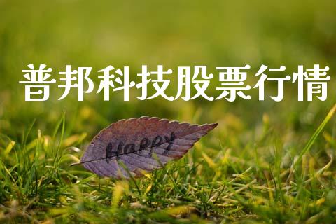 普邦科技股票行情_https://www.ltsssb.com_股市分析_第1张
