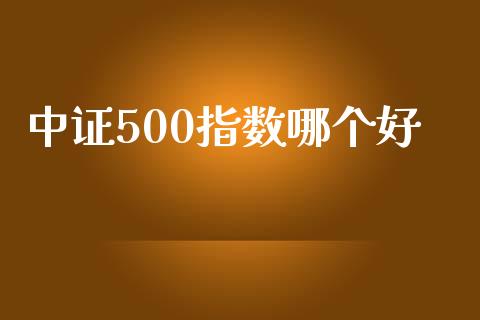 中证500指数哪个好_https://www.ltsssb.com_期货行情_第1张