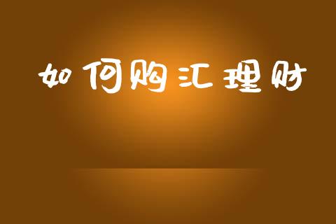如何购汇理财_https://www.ltsssb.com_期货在线_第1张
