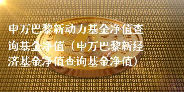 申万巴黎新动力基金净值查询基金净值（申万巴黎新经济基金净值查询基金净值）_https://www.ltsssb.com_基金频道_第1张