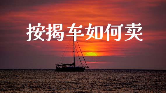 按揭车如何卖_https://www.ltsssb.com_期货行情_第1张