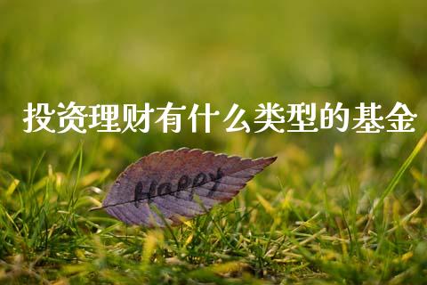 投资理财有什么类型的基金_https://www.ltsssb.com_基金频道_第1张
