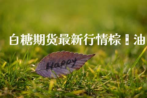 白糖期货最新行情棕榈油_https://www.ltsssb.com_期货在线_第1张