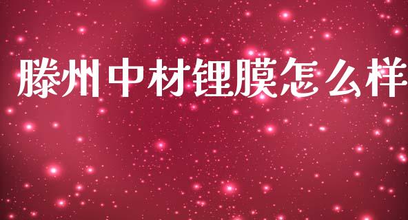滕州中材锂膜怎么样_https://www.ltsssb.com_新股数据_第1张