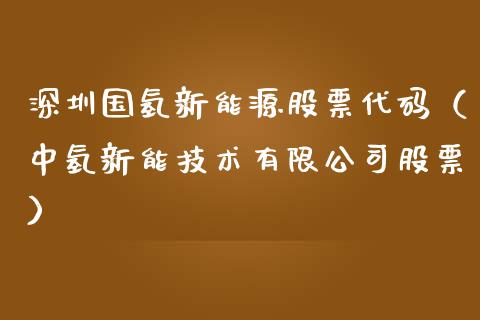 深圳国氢新能源股票代码（中氢新能技术有限公司股票）_https://www.ltsssb.com_股票理论_第1张