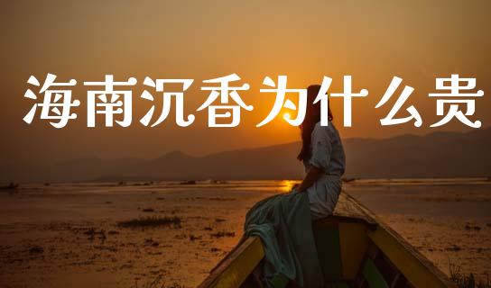 海南沉香为什么贵_https://www.ltsssb.com_期货在线_第1张