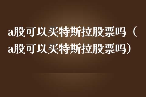 a股可以买特斯拉股票吗（a股可以买特斯拉股票吗）_https://www.ltsssb.com_股市分析_第1张