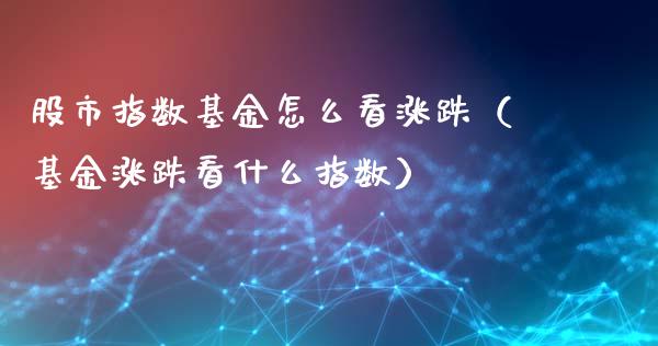 股市指数基金怎么看涨跌（基金涨跌看什么指数）_https://www.ltsssb.com_基金频道_第1张