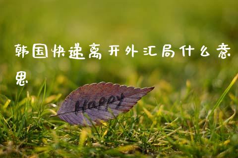 韩国快递离开外汇局什么意思_https://www.ltsssb.com_国际财经_第1张