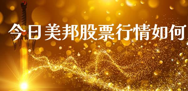 今日美邦股票行情如何_https://www.ltsssb.com_股市分析_第1张