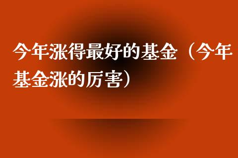 今年涨得最好的基金（今年基金涨的厉害）_https://www.ltsssb.com_国际财经_第1张