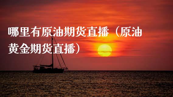 哪里有原油期货直播（原油黄金期货直播）_https://www.ltsssb.com_期货密码_第1张