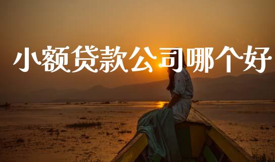 小额贷款公司哪个好_https://www.ltsssb.com_国际财经_第1张