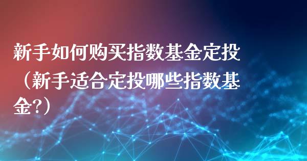 新手如何购买指数基金定投（新手适合定投哪些指数基金?）_https://www.ltsssb.com_国际财经_第1张