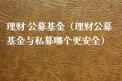 理财 公募基金（理财公募基金与私募哪个更安全）_https://www.ltsssb.com_基金频道_第1张
