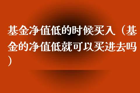 基金净值低的时候买入（基金的净值低就可以买进去吗）_https://www.ltsssb.com_国际财经_第1张