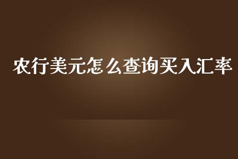 农行美元怎么查询买入汇率_https://www.ltsssb.com_股市分析_第1张