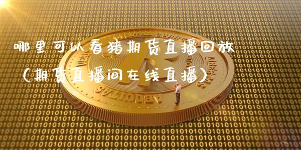 哪里可以看猪期货直播回放（期货直播间在线直播）_https://www.ltsssb.com_期货在线_第1张