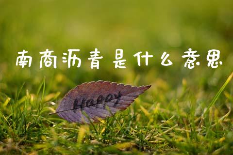 南商沥青是什么意思_https://www.ltsssb.com_股票理论_第1张