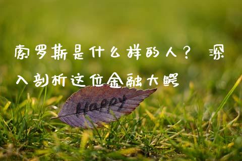索罗斯是什么样的人？ 深入剖析这位金融大鳄_https://www.ltsssb.com_股票理论_第1张